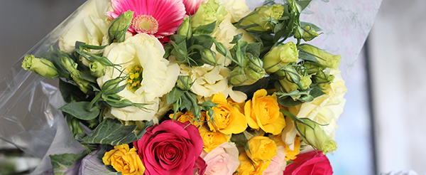 b_7-flores-en-detalle