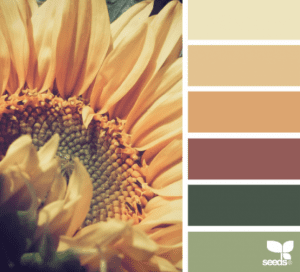 Combinacion de colores: Otoño